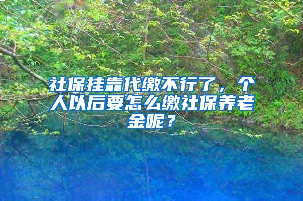 社保挂靠代缴不行了，个人以后要怎么缴社保养老金呢？