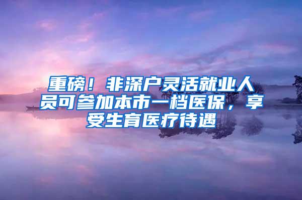 重磅！非深户灵活就业人员可参加本市一档医保，享受生育医疗待遇