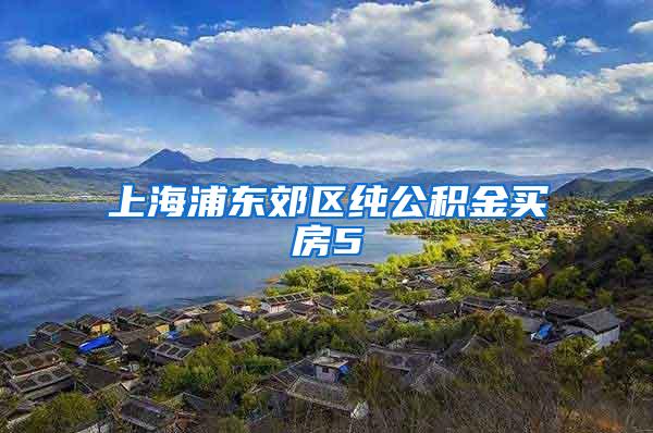 上海浦东郊区纯公积金买房5