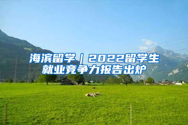 海滨留学｜2022留学生就业竞争力报告出炉