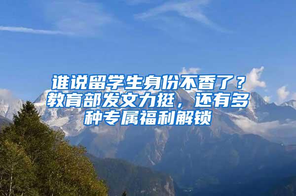 谁说留学生身份不香了？教育部发文力挺，还有多种专属福利解锁