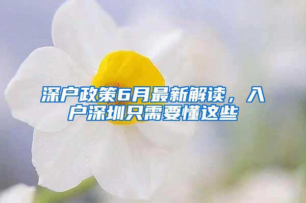 深户政策6月最新解读，入户深圳只需要懂这些