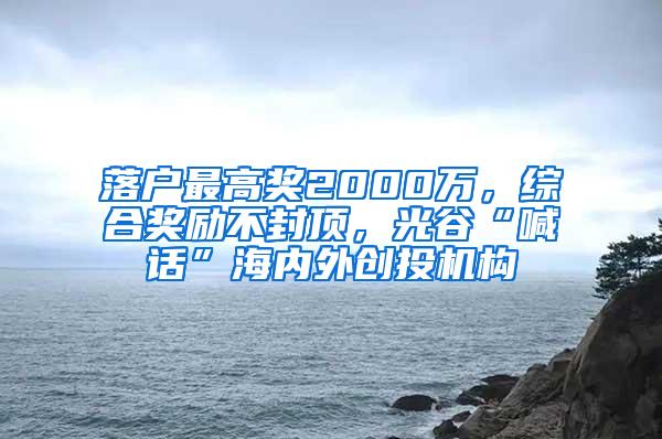 落户最高奖2000万，综合奖励不封顶，光谷“喊话”海内外创投机构