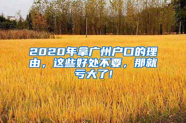 2020年拿广州户口的理由，这些好处不要，那就亏大了!