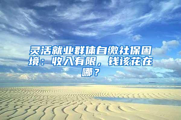 灵活就业群体自缴社保困境：收入有限，钱该花在哪？