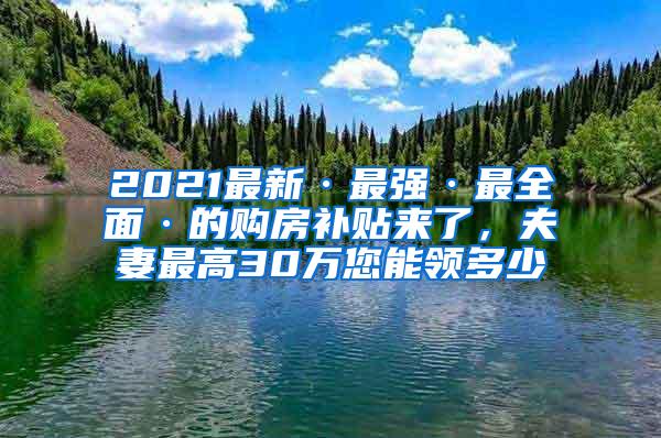 2021最新·最强·最全面·的购房补贴来了，夫妻最高30万您能领多少