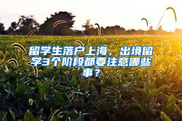 留学生落户上海，出境留学3个阶段都要注意哪些事？