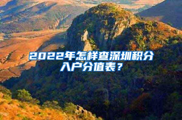 2022年怎样查深圳积分入户分值表？