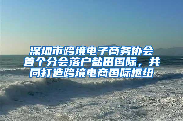 深圳市跨境电子商务协会首个分会落户盐田国际，共同打造跨境电商国际枢纽