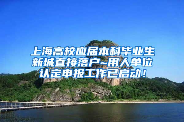 上海高校应届本科毕业生新城直接落户~用人单位认定申报工作已启动！