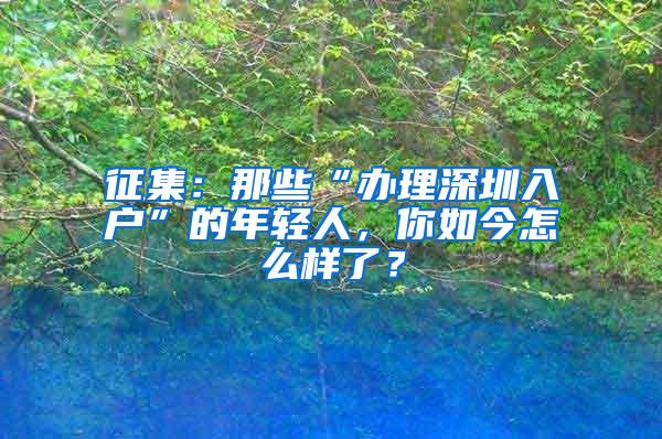 征集：那些“办理深圳入户”的年轻人，你如今怎么样了？