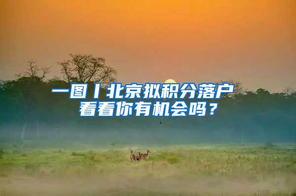 一图丨北京拟积分落户 看看你有机会吗？