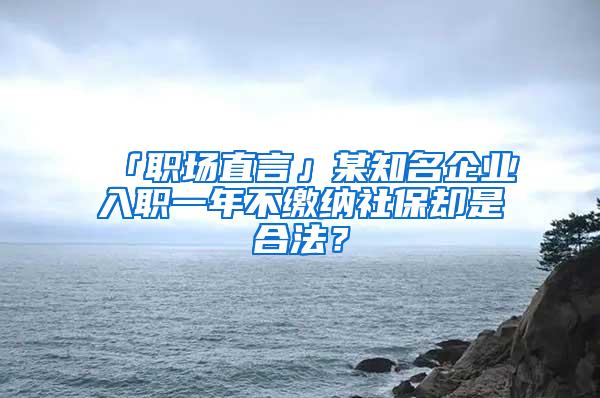 「职场直言」某知名企业入职一年不缴纳社保却是合法？