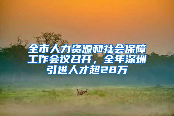 全市人力资源和社会保障工作会议召开，全年深圳引进人才超28万