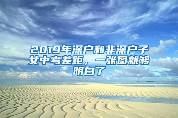 2019年深户和非深户子女中考差距，一张图就够明白了