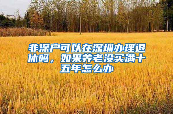 非深户可以在深圳办理退休吗，如果养老没买满十五年怎么办