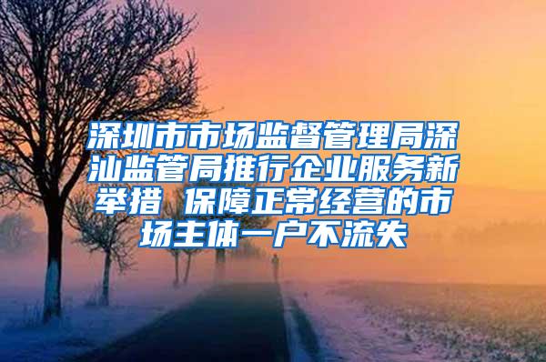 深圳市市场监督管理局深汕监管局推行企业服务新举措 保障正常经营的市场主体一户不流失