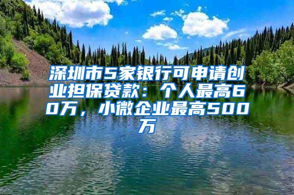 深圳市5家银行可申请创业担保贷款：个人最高60万，小微企业最高500万