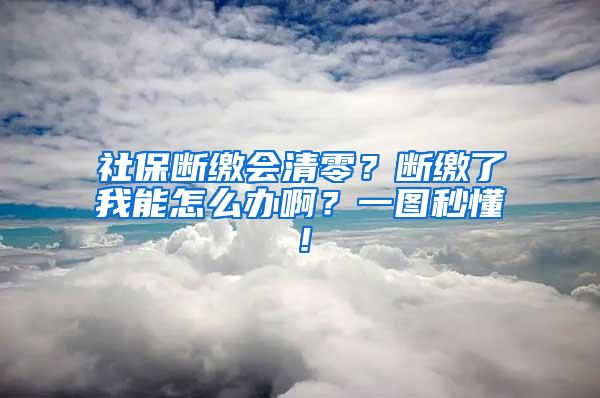 社保断缴会清零？断缴了我能怎么办啊？一图秒懂！