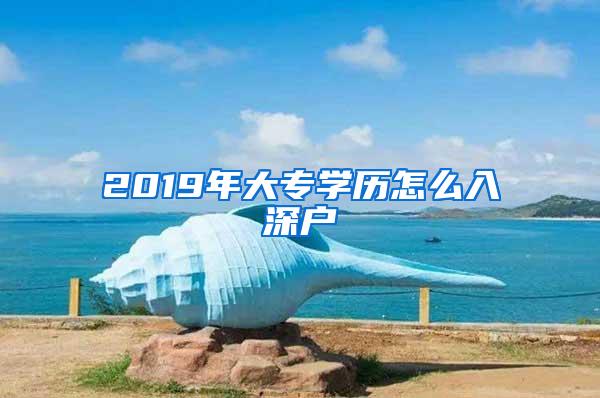 2019年大专学历怎么入深户