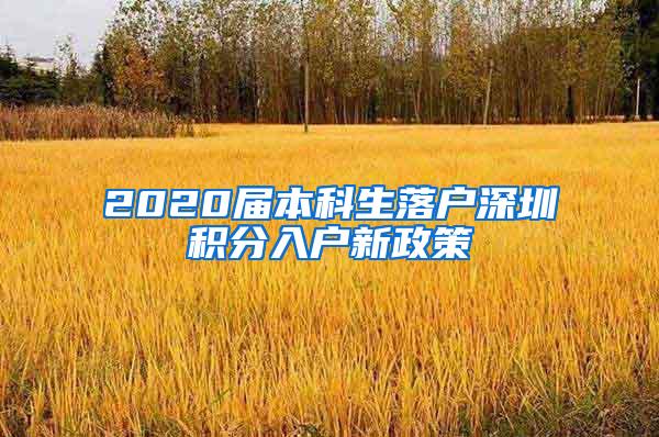 2020届本科生落户深圳积分入户新政策