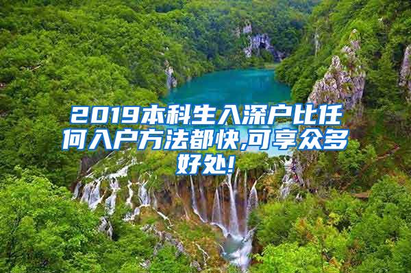 2019本科生入深户比任何入户方法都快,可享众多好处!