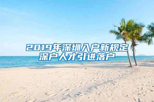 2019年深圳入户新规定深户人才引进落户