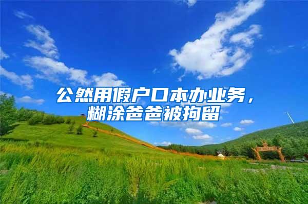 公然用假户口本办业务，糊涂爸爸被拘留