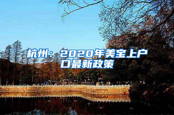 杭州：2020年美宝上户口最新政策