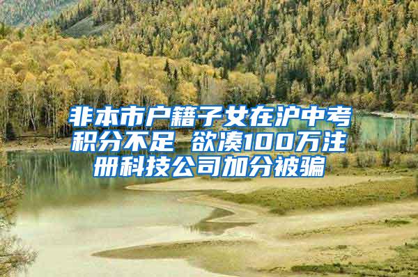 非本市户籍子女在沪中考积分不足 欲凑100万注册科技公司加分被骗