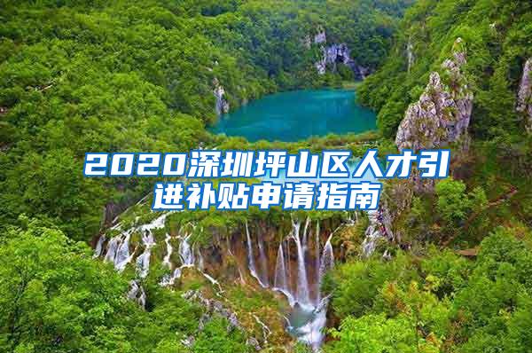 2020深圳坪山区人才引进补贴申请指南