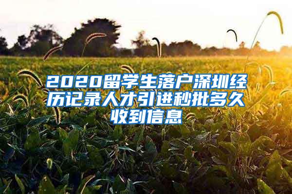 2020留学生落户深圳经历记录人才引进秒批多久收到信息