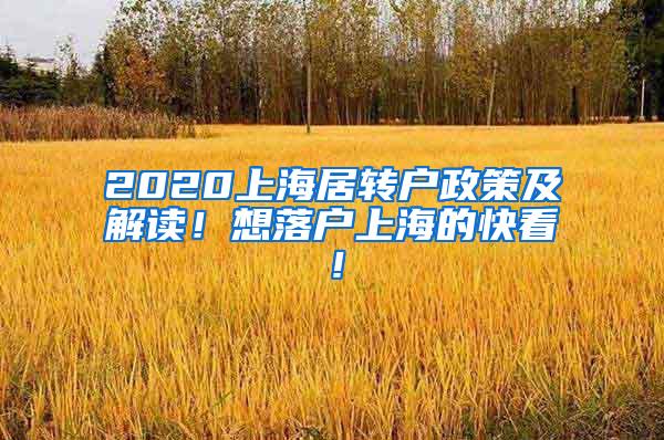 2020上海居转户政策及解读！想落户上海的快看！