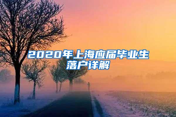 2020年上海应届毕业生落户详解