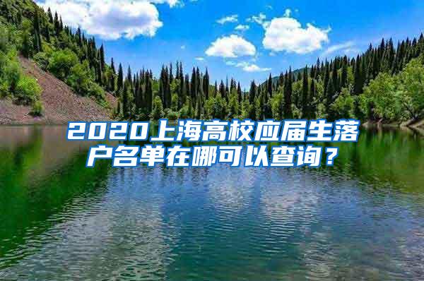 2020上海高校应届生落户名单在哪可以查询？