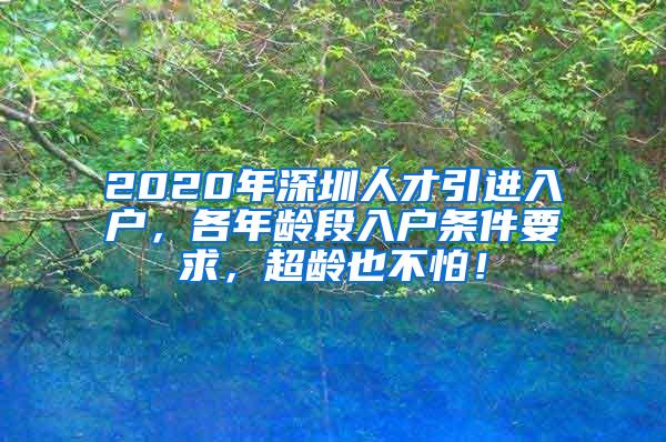 2020年深圳人才引进入户，各年龄段入户条件要求，超龄也不怕！