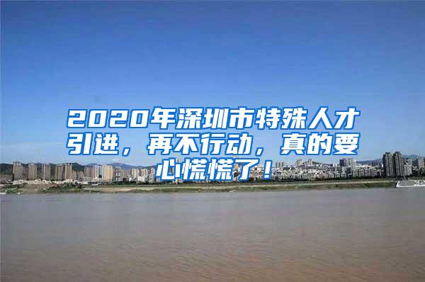 2020年深圳市特殊人才引进，再不行动，真的要心慌慌了！