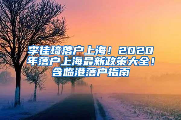 李佳琦落户上海！2020年落户上海最新政策大全！含临港落户指南