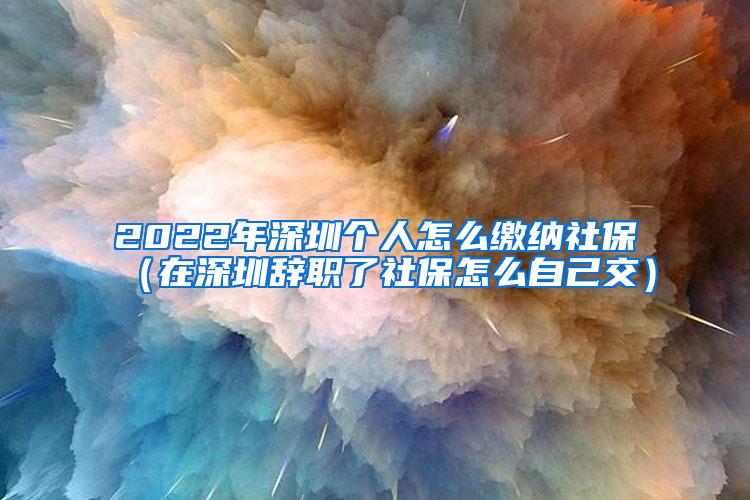 2022年深圳个人怎么缴纳社保（在深圳辞职了社保怎么自己交）