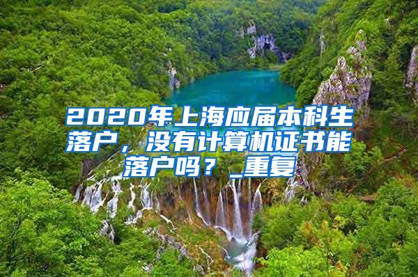 2020年上海应届本科生落户，没有计算机证书能落户吗？_重复