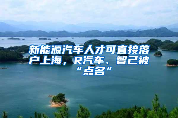 新能源汽车人才可直接落户上海，R汽车、智己被“点名”