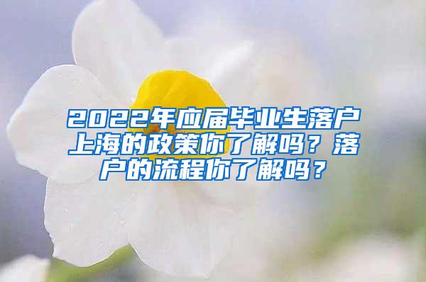 2022年应届毕业生落户上海的政策你了解吗？落户的流程你了解吗？