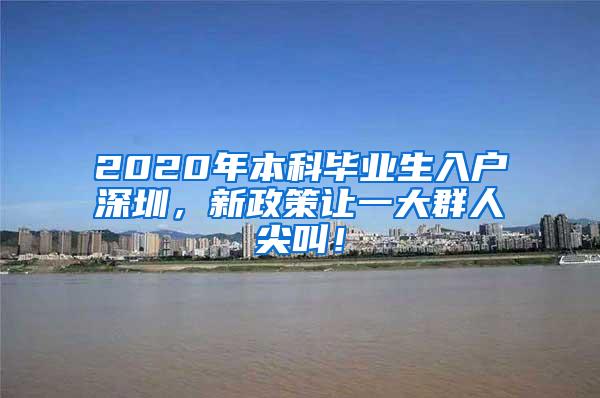 2020年本科毕业生入户深圳，新政策让一大群人尖叫！