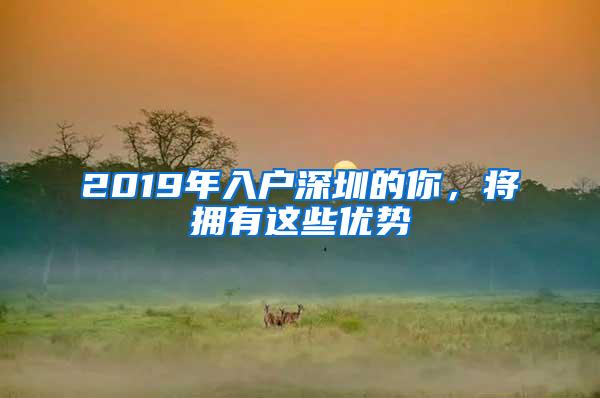 2019年入户深圳的你，将拥有这些优势