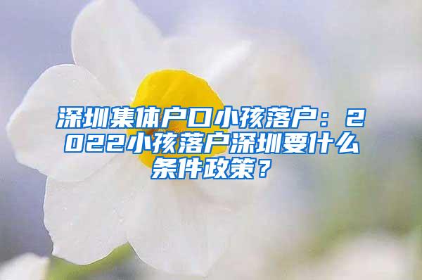深圳集体户口小孩落户：2022小孩落户深圳要什么条件政策？