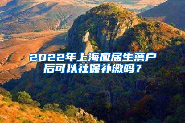 2022年上海应届生落户后可以社保补缴吗？