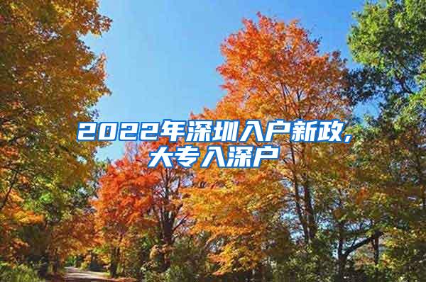 2022年深圳入户新政,大专入深户