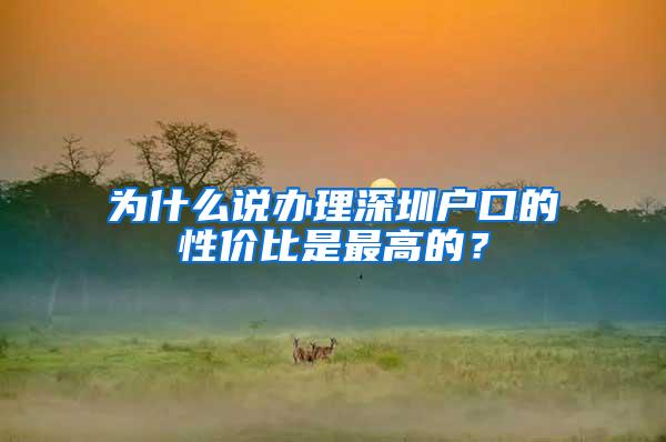 为什么说办理深圳户口的性价比是最高的？