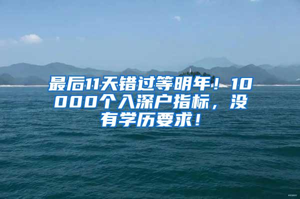 最后11天错过等明年！10000个入深户指标，没有学历要求！