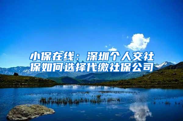 小保在线：深圳个人交社保如何选择代缴社保公司